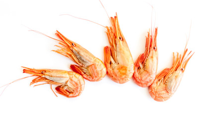 Shrimp isolated on white background.