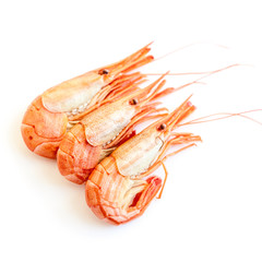 Shrimp isolated on white background.