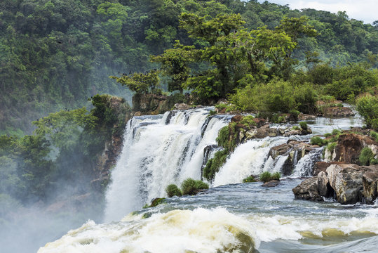 Trees and rocks next to Iguazu Falls; Parana, Brazil