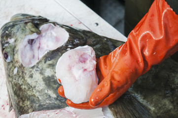 Fisherman harvests halibut cheeks which are considered a delicacy, Alaska
