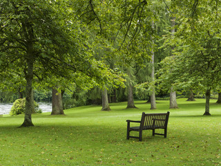 A bench on lush grass in a park by a river; Dunkeld, Perth and Kinross, Scotland