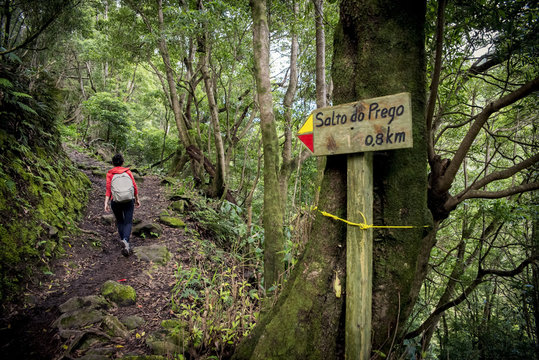 Young woman trekking to Salto do Prego; Faial da Terra, Sao Miguel, Azores, Portugal