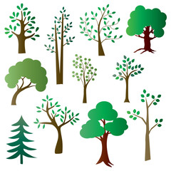 Obraz premium gradient trees