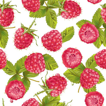 Vector Raspberry Pattern