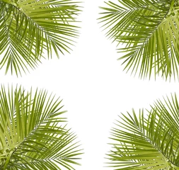 Papier Peint photo Lavable Palmier Green palm leaves isolated
