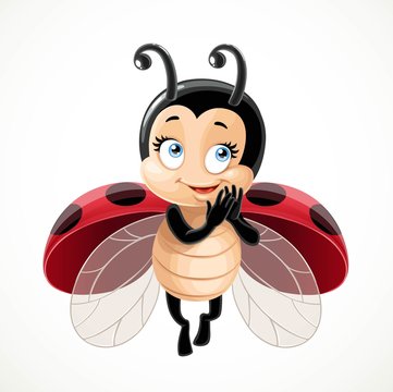Flirtatious fly little ladybug on a white background