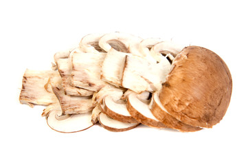 Set Champignon mushroom isolated on white background.