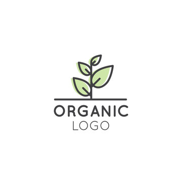 Vector Icon Style Illustration Logo for Organic Vegan Healthy Shop or Store. Green Tree Plant with Leafs Symbol