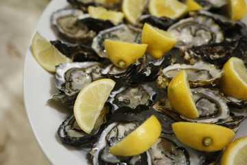 Ostriche e limone su un piatto bianco