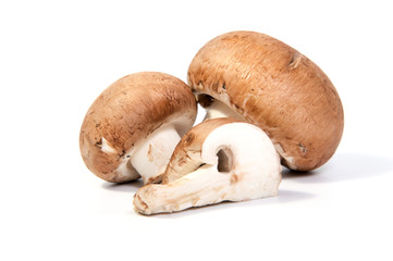 Set Champignon mushroom isolated on white background.
