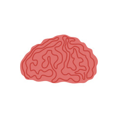 Human brain intelligence icon vector illustration graphic design