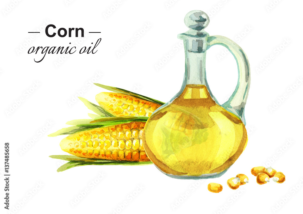 Sticker Corn oil. Watercolor - Stickers