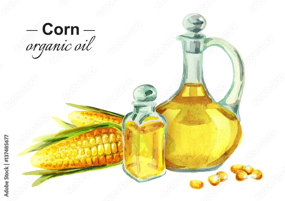 Wall mural Corn organic oil. Watercolor - Wall murals