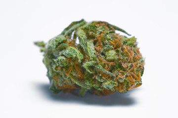 Close up of medical marijuana bud