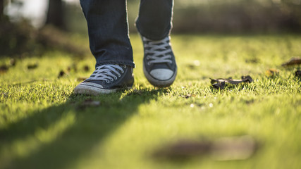 Walking feet ; Man wear blue jean and canvas sneaker sunrise walking on sunrise lawn and landscape...
