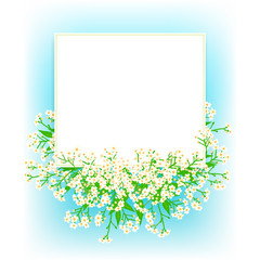 Vector card with small white flowers