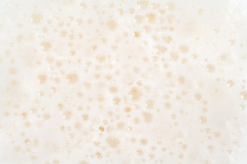 Beer Froth