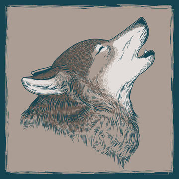  illustration of a howling wolf
