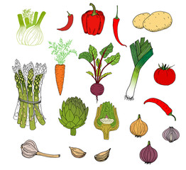 Vegetables set hand drawn colored sketch - Artichoke, pepper, tomato, potato, beetroot, garlic, onion, chili, fennel, carrot, leek
