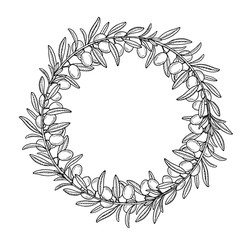Olive tree branches wreath hand drawn sketch
