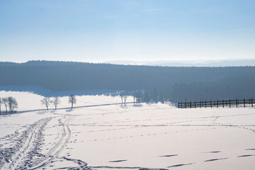 winter landscape