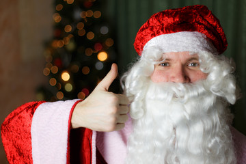 santa claus grandfather frost close-up portrait of a new year