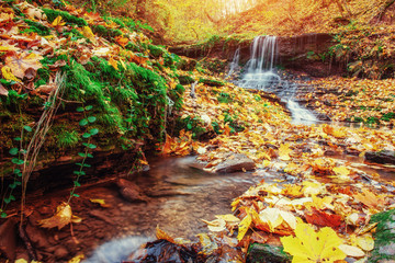 Fototapeta na wymiar Waterfall in autumn sunlight. Carpathians. Ukraine. Europe