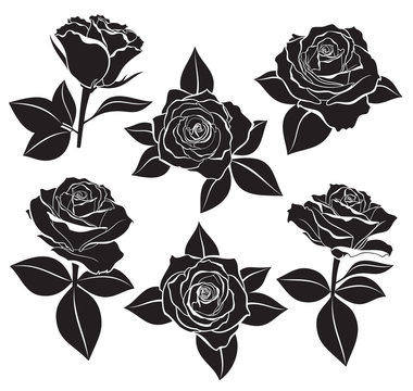 Vector set of Rose buds, stems and leaves with white contour line and silhouettes in black colour. Vector illustration for design and tattoo on white background. 