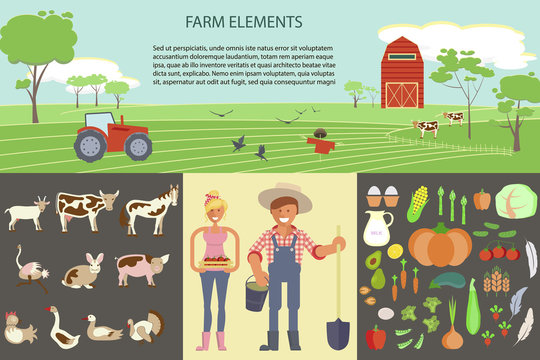 Farming infographic elements with field, farm, tractor, animals and harvest. Farmer man and woman. Modern flat design. eps10 vector illustration