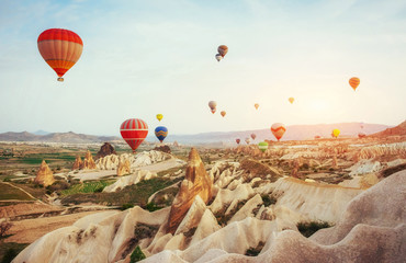 Obraz premium Colorful hot air balloons flying over Red valley at Cappadocia, 