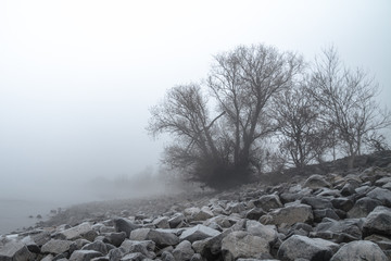 Nebel am Rheinufer in Duisburg
