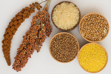 Twig red millet and sorghum, grain buckwheat, millet, rice, wheat in boxes on  white background