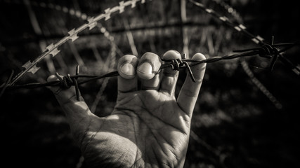 Man hand on the barbed wire fence without freedom, liberty and fraternity in vintage style picture.