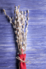 willow buds bloom