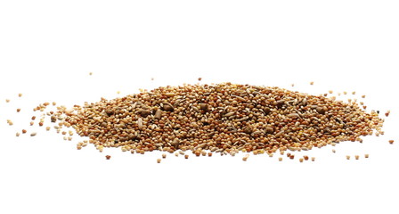 pile mixed bird seed isolated on white background