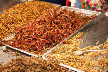 fried insects