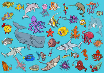 Obraz premium sea life animals cartoon set