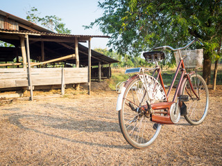 Fototapeta na wymiar Vintage bicycle in the farm