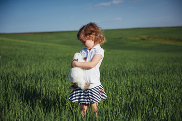 Fototapeta premium baby rabbit in a field of green wheat