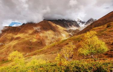 Autumn landscape and snowy mountain peaks.