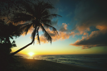 Sonnenuntergang am Sunset Beach auf O'ahu, Hawai'i 