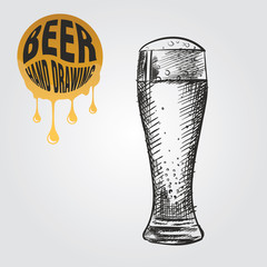 Beer in glass hand drawn sketch isolated on white background and yellow blob with drops. Beer sketch elements vector illustration