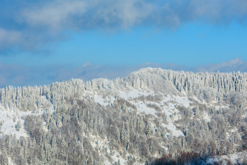 Winter Ukrainian Carpathian Mountains landscape.