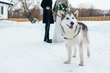 Happy wedding couple with dog outdoors on winter day