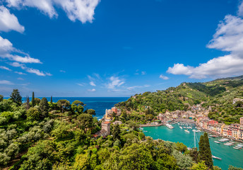 Fototapeta na wymiar Portofino village on Ligurian coast, Italy