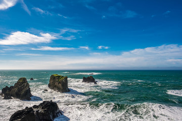 Fototapeta na wymiar USA Pacific coast landscape, Oregon