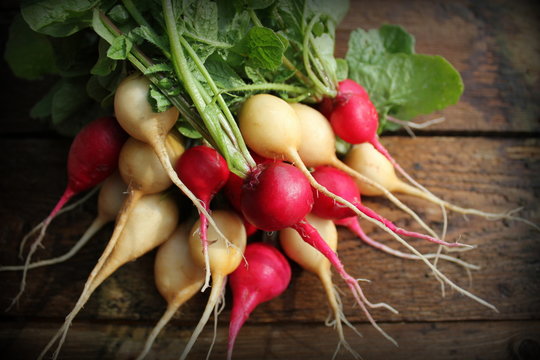 Fresh red and yellow radishes on dark rustic wooden background. Top view.