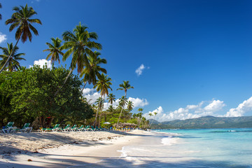 terrific tropical beach Playita, Domonican Republic. Blue ocean, white sand, palm trees