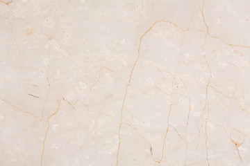 Naklejka premium Beige light warm trani marble stone.