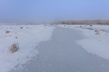 Comana lake in winter